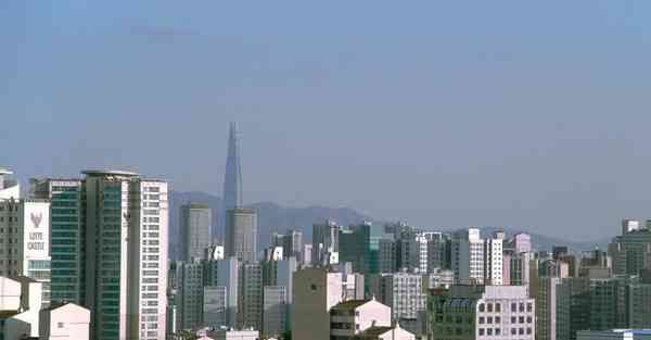 免费pn软件