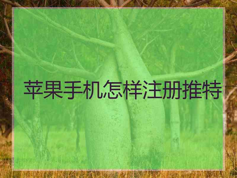 苹果手机怎样注册推特